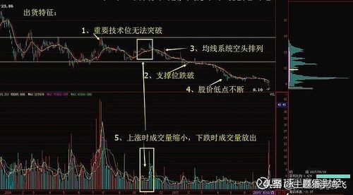 Hai bị cáo Nguyễn Ngọc Thiện và Hồ Công Quý tại phiên tòa.